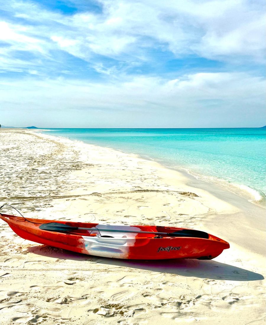 WhatsApp Image 2025-04-26 at 06.28.35_11a64ceb