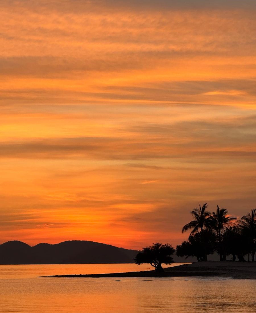 WhatsApp Image 2025-04-26 at 06.28.35_933d4e80