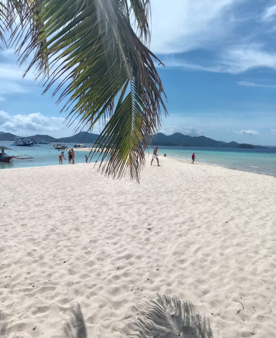 WhatsApp Image 2025-04-26 at 13.56.28_5956f197