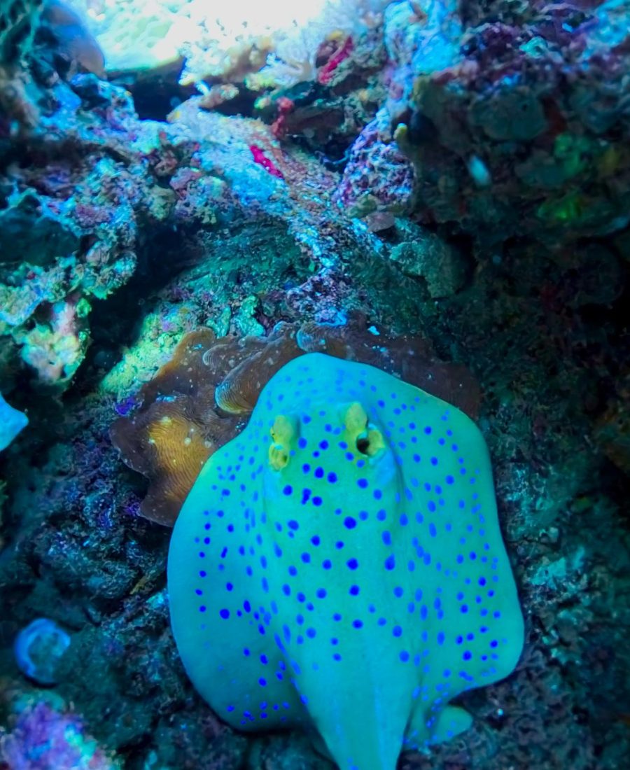 WhatsApp Image 2025-04-29 at 02.36.19_9f990ea0