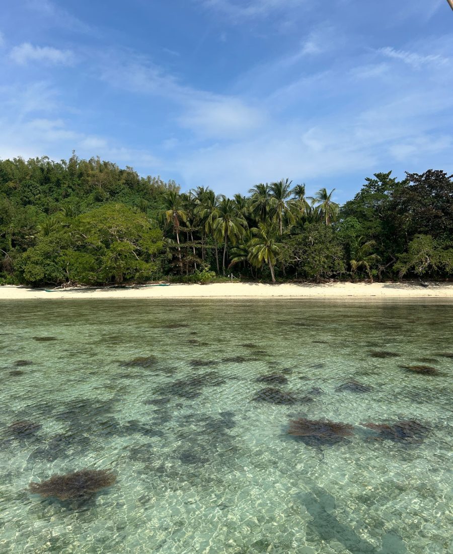 WhatsApp Image 2025-04-29 at 14.09.01_d1d61a3f